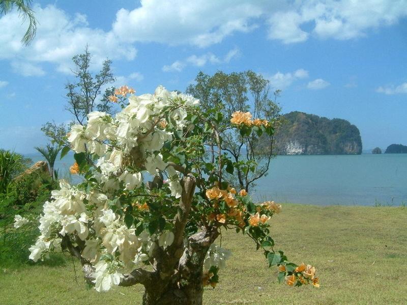Tha Lane Bay Villas Dış mekan fotoğraf